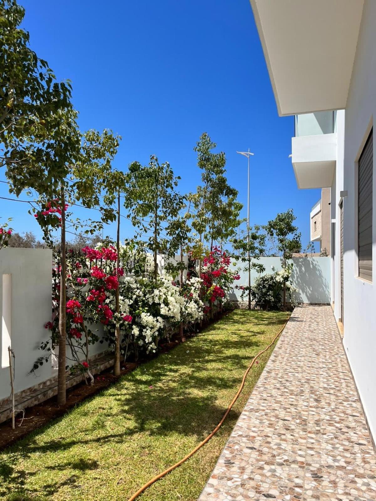 Villa Africa الصويرة المظهر الخارجي الصورة